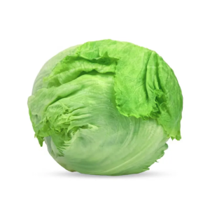 Lechuga Iceberg