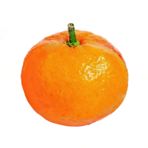 Mandarina